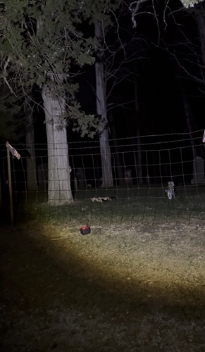 Outside The Gate At Ball